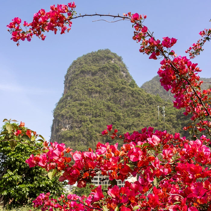Yangshuo-11_thumb.webp